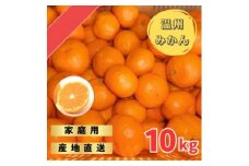 宮川早生みかん ご家庭用 10kg箱入【WS6】