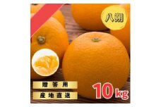 木なりはっさくみかん 贈答用特選 10kg箱入【WS8】
