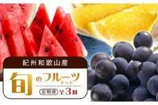 【6・7・9月 全3回】紀州和歌山産旬のフルーツセット（スイカ・バレンシア・巨峰）【UT94】