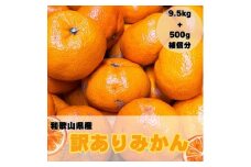 【訳あり】和歌山みかん 約9.5kg+補償分約500g サイズ混合 11月より順次発送 訳ありみかん 【red1】