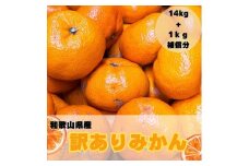 【訳あり】和歌山みかん約14kg+補償分約1kg サイズ混合 11月より順次発送 訳ありみかん 【red3】