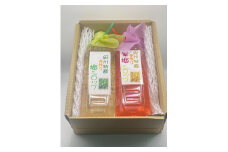 ※要備考※【先行予約】自家製梅シロップ2色セット500ml 2本入り 紫梅・南高梅・古城梅使用