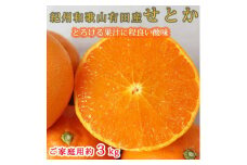 紀州有田産せとか 約3kg ［ご家庭用］とろける食感！ジューシー柑橘［2026年2月下旬以降発送］［先行予約］［UT133］
