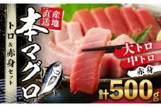 本場南紀から産地直送！ 本マグロ トロ+赤身セット 500g | 大トロ 中トロ 鮪 刺身 寿司
