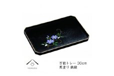万能トレー 黒 鉄線 30cm【YG276】