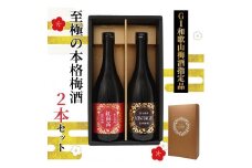 「GI和歌山梅酒」に指定された 至極の本格 梅酒 2本セット ［MG77］