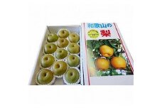 ◆先行予約◆和歌山県産 旬の梨 約4kg【2025年8月中旬以降出荷】［MG75］