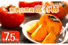 【2025年11月上旬以降発送】◆先行予約◆和歌山県産 富有柿＜ご家庭用＞約7.5kg 満杯詰め［MG2］