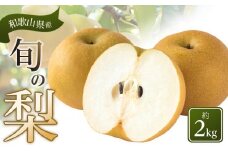 和歌山県産 旬の梨 約2kg［2025年8月中旬以降順次発送］［MG17］