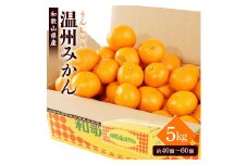 ［先行予約］［2025年11月初旬頃から順次発送予定］ 和歌山県産温州みかん 約5kg（40個～60個）秀品 こだわり農家厳選！［KG31］