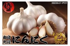 由良町産にんにく 秀品  Ｌサイズ  約2kg(1kg×2)【SL19】