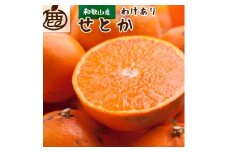 ［先行予約］家庭用 せとか10kg+250g（傷み補償分）［柑橘・春みかんの王様］［わけあり・訳あり］［光センサー選果・食べ頃出荷］［IKE256］