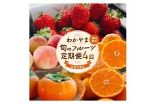 わかやま旬のフルーツ定期便[S] 全4回 2～3・7・10・11～12月発送 家庭用［MS123］