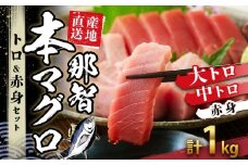 本場南紀から産地直送！ 本マグロ トロ+赤身セット 1kg | 【年末年始お届け可能】大トロ 中トロ 鮪 刺身 寿司 海のダイヤ クロマグロ 人気