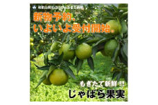 【ふるさと納税限定！早期受付】じゃばら果実（5キロ）【予約受付/11月下旬より順次発送】【njb183】