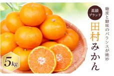 【先行予約】高級ブランド 田村みかん 5kg※2025年11月下旬頃～2026年1月下旬頃に順次発送予定(お届け日指定不可)/みかん ミカン 有田みかん ブランドみかん 柑橘 果物 フルーツ 旬 先行 予約【uot504A】