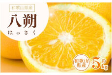 八朔(はっさく)約5kg サイズおまかせ　紀伊国屋文左衛門本舗　※2025年1月下旬～2025年4月上旬頃に発送予定【ntbt410A】