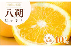 八朔(はっさく)約10kg サイズおまかせ　紀伊国屋文左衛門本舗 ※2025年1月下旬～2025年4月上旬頃に発送予定【ntbt411A】