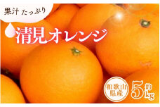 清見オレンジ約5kg/果実サイズおまかせ ※2025年2月中旬～2025年4月下旬頃に発送予定　紀伊国屋文左衛門本舗【ntbt400A】