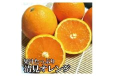＼光センサー選別／ 【農家直送】果汁たっぷり！清見オレンジ 約5kg  有機質肥料100%　 サイズ混合　※2026年3月上旬より順次発送予定（お届け日指定不可）【nuk112B】