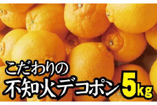 ＼光センサー選別／ 【農家直送】こだわりのデコポン不知火 約5kg  有機質肥料100%　※2025年2月中旬より順次発送予定（お届け日指定不可）【nuk111B】