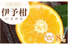 伊予柑(いよかん) 約8kg/サイズおまかせ　※2025年1月中旬～2025年2月中旬頃に順次発送予定(お届け日指定不可)　紀伊国屋文左衛門本舗【ntbt440A】