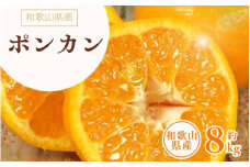 ポンカン 約8kg/サイズおまかせ　※2025年1月下旬～2025年2月下旬頃に順次発送予定(お届け日指定不可)　紀伊国屋文左衛門本舗【ntbt450A】