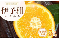 伊予柑(いよかん) 約5kg/サイズおまかせ　※2025年1月中旬～2025年2月中旬頃に順次発送予定(お届け日指定不可)　紀伊国屋文左衛門本舗【ntbt441A】