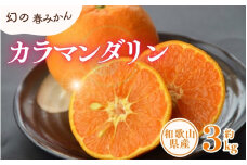 カラマンダリン 約3kg/サイズおまかせ　※2025年4月上旬～2025年5月上旬頃に順次発送予定(お届け日指定不可)　紀伊国屋文左衛門本舗　【ntbt471A】