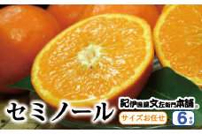 セミノールオレンジ 約6kg/サイズおまかせ　※2024年4月中旬～5月下旬頃に順次発送予定(お届け日指定不可)　紀伊国屋文左衛門本舗　【ntbt480】