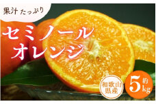 セミノールオレンジ 約5kg/サイズおまかせ　※2025年4月中旬～2025年5月下旬頃に順次発送予定(お届け日指定不可)　紀伊国屋文左衛門本舗【ntbt481A】