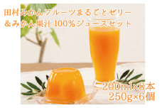 田村みかんフルーツまるごとゼリー250g×6個＆みかん果汁100％ジュース200ml×8【uot105】