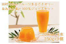 丸ごとみかんが３個入った！田村みかんフルーツまるごとゼリー９個＆みかん果汁100％ジュースセット８本【uot104】