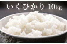 いくひかり（和歌山県日高郡産）10kg［2023年産］【hsc102】