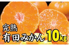 【2022年冬頃発送予約分】＼光センサー選別／ 【農家直送】完熟有田みかん 約10kg  有機質肥料100%　 サイズ混合　※2022年12月上旬～2023年1月下旬に順次発送予定（お届け日指定不可）【nuk117】