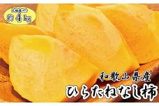 和歌山秋の味覚　平核無柿（ひらたねなしがき）　約4kg　化粧箱入　※2025年10月上旬頃～2025年10月末頃順次発送（お届け日指定不可）【uot701A】