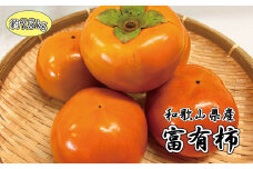 和歌山秋の味覚　富有柿　約7.5kg　※2025年11月上旬頃〜2025年12月上旬頃発送（お届け日指定不可）【uot702A】