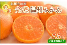 【先行予約】【ご家庭用訳アリ】紀州有田産濃厚完熟温州みかん　7.5kg　※2025年11月下旬頃〜2026年1月下旬頃に順次発送予定(お届け日指定不可)【uot704A】