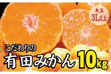 ＼光センサー選別／ 【農家直送】こだわりの有田みかん 約10kg 大玉サイズ 3L以上 サイズ混合 有機質肥料100% ※2022年12月初旬～2023年1月中旬に順次発送(お届け日指定不可)【nuk140】