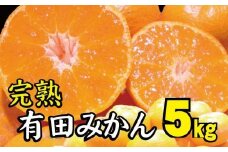 【2022年冬頃発送予約分】＼光センサー選別／ 【農家直送】完熟有田みかん 約5kg 有機質肥料100%　 サイズ混合　※2022年12月上旬～2023年1月下旬に順次発送予定（お届け日指定不可）【nuk118】