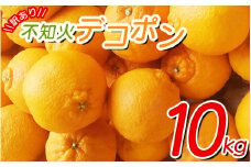 ＼光センサー選別／ 【訳あり】ちょこっと訳あり不知火デコポン 約10kg【ご家庭用】 ※2025年2月中旬より順次発送予定（お届け日指定不可）【nuk121C】