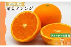 【予約】【ジューシー】清見オレンジ 5kg　※2026年3月下旬頃〜2026年4月中旬頃に順次発送予定（お届け日指定不可）【uot710-2】