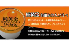 プレミアムジェラート 純黄金12個セット 有田みかんソルベ アイスクリームセット 100mlカップ ゆあさジェラートラボラトリー【ntbt700-08】