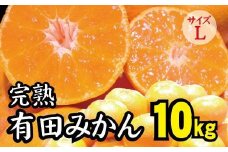 【2022年秋以降発送予約分】＼光センサー選別／ 【農家直送】完熟有田みかんLサイズ　約10kg  有機質肥料100%　※2022年11月上旬より順次発送予定（お届け日指定不可）【nuk105】