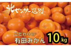 【2025年11月発送予約分】＼光センサー選別／農家直送 こだわりの完熟有田みかん 約10kg＋250g(傷み補償分) 【ご家庭用】 【11月発送】有機質肥料100% 有田みかん みかん ミカン 蜜柑 柑橘 果物 フルーツ 甘い 温州みかん 先行予約 【nuk101-11】
