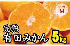 【2022年秋以降発送予約分】＼光センサー選別／ 【農家直送】完熟有田みかん Mサイズ　約5kg  有機質肥料100%　※2022年11月上旬より順次発送予定（お届け日指定不可）【nuk115-3】