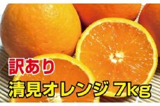 ＼光センサー選別／ 【訳あり】清見オレンジ　約7kg　ご家庭用　※2022年3月上旬より順次発送予定（お届け日指定不可）【nuk128】