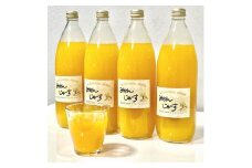【果汁100%】無添加！贅沢絞りの有田みかんストレートジュース1000ml ×4本セット【nuk122】