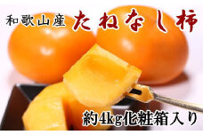 【秋の味覚】和歌山産のたねなし柿2L～4Lサイズ約4kg（化粧箱入り）※2024年10月上旬～2024年11月上旬頃順次発送【tec409】