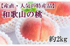 【産直・人気の特産品】和歌山の桃　約2kg・秀品　※2025年6月下旬～8月上旬頃順次発送【tec910A】